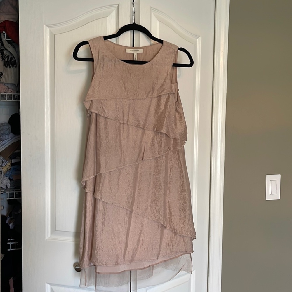 Bcbg MaxAzria runway silk Celine dress